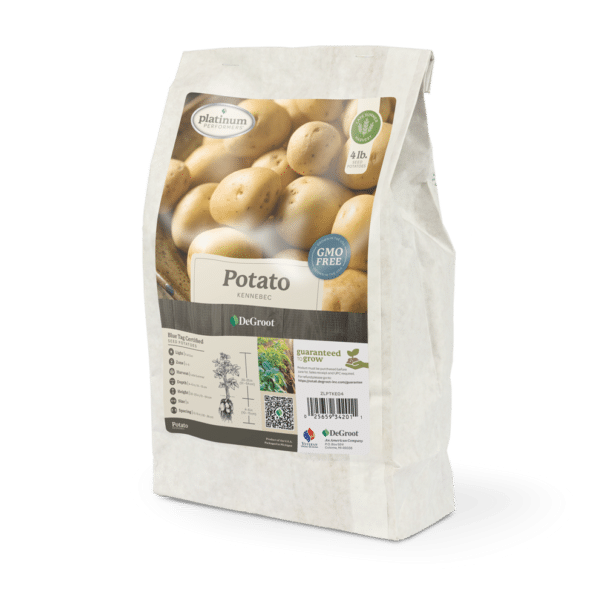 Potato Bag 'Kennebec'