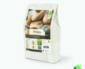 Potato, 'Russet Norkotah' (3lb. bags)