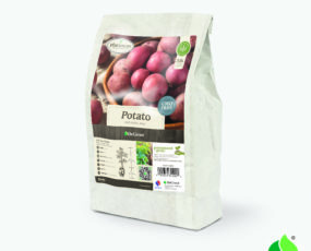 Potato, 'Red Norland' (3lb. bags)