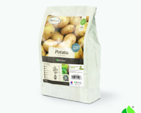 Potato, 'Yukon Gold' (3lb. bags)