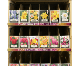 Large Fall Bulb Display