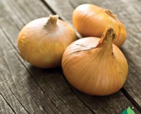 Onion, Sweet (bushel)
