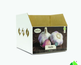 Fall Garlic, Hardneck Bulb Bin Box