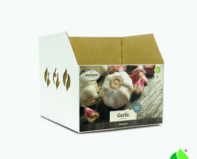 Fall Garlic, Softneck Bulb Bin Box