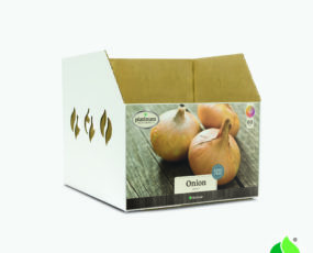 Fall Onion, Sweet Bin Box