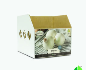 Fall Onion, White Bin Box