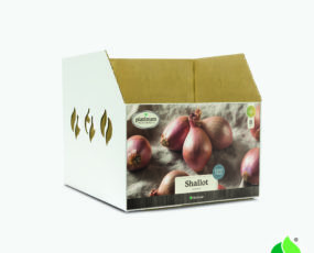 Fall Shallot Bin Box