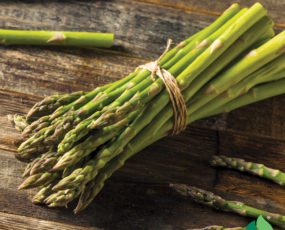 Asparagus, 'Jersey Knight'