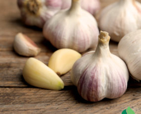 Garlic Hardneck Bulb