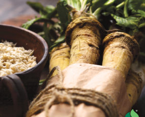 Horseradish Sets