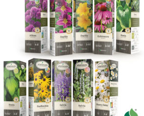 Perennial Assortment