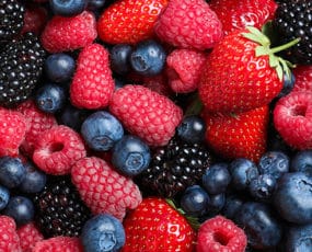 Fruit Plants