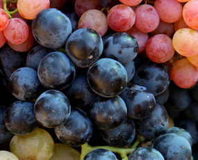 Grapes