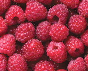 Raspberries