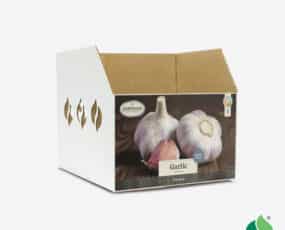 Fall Garlic, Hardneck Bulb Bin Box