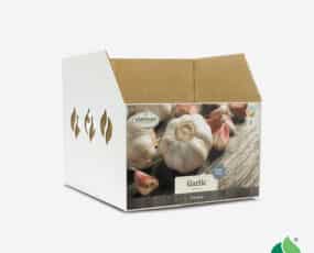 Fall Garlic, Softneck Bulb Bin Box