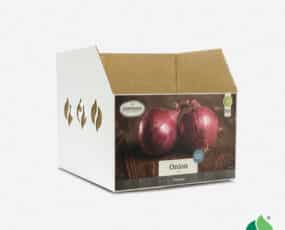 Fall Onion, Red Bin Box