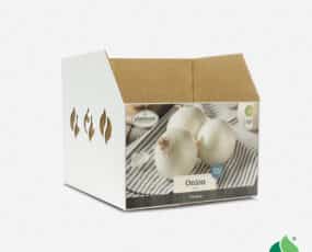Fall Onion, White Bin Box