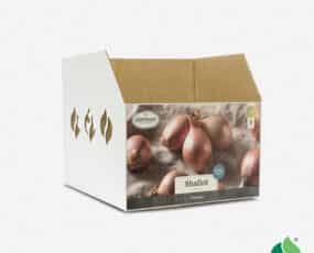 Fall Shallot Bin Box